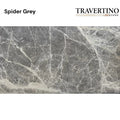 Spider Grey