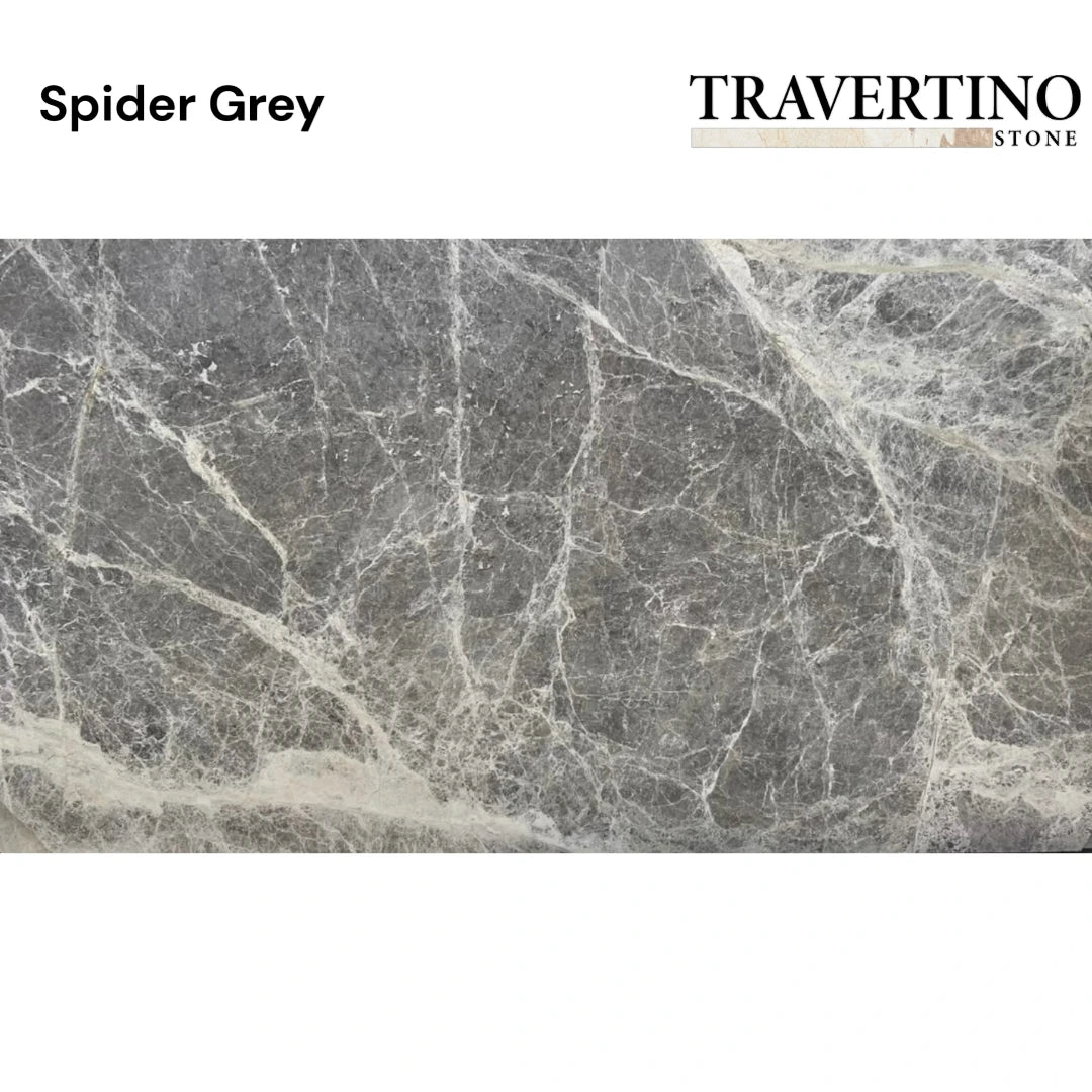 Spider Grey